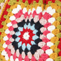 Handmade Crochet Bag - Multi Color 3054