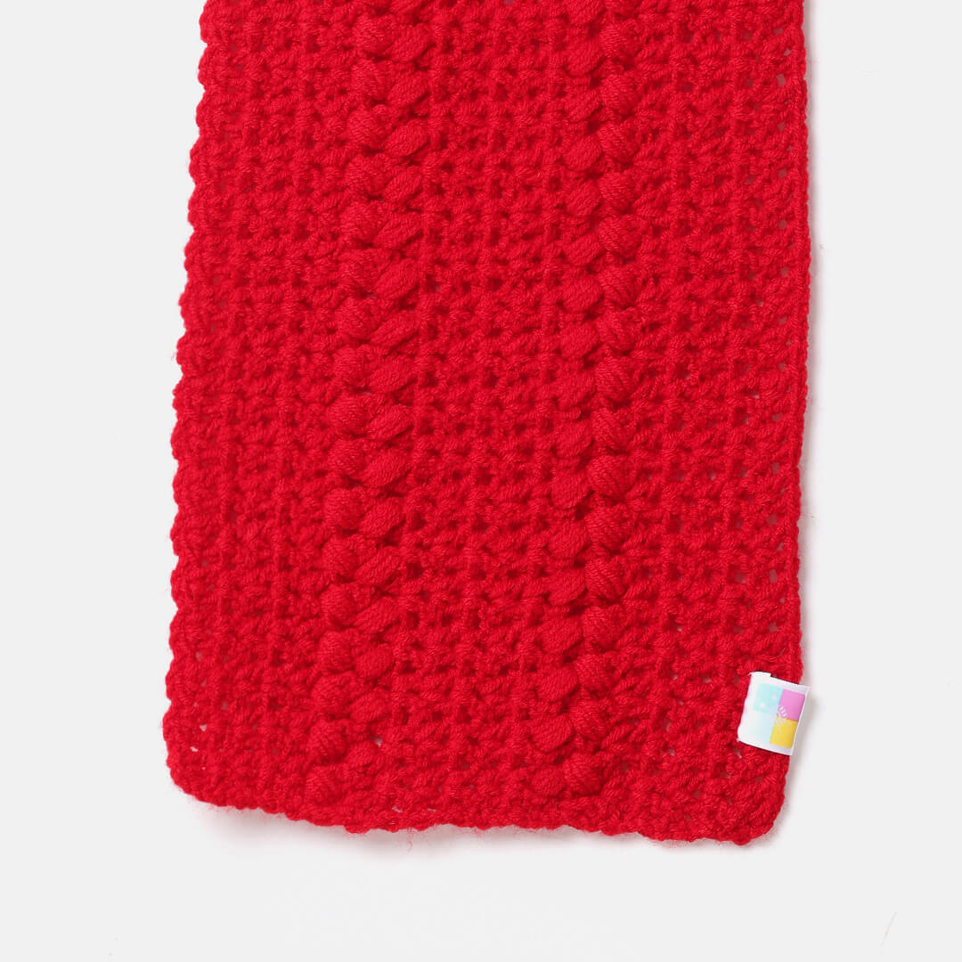 Handmade Self Design Crochet Scarf - 10623