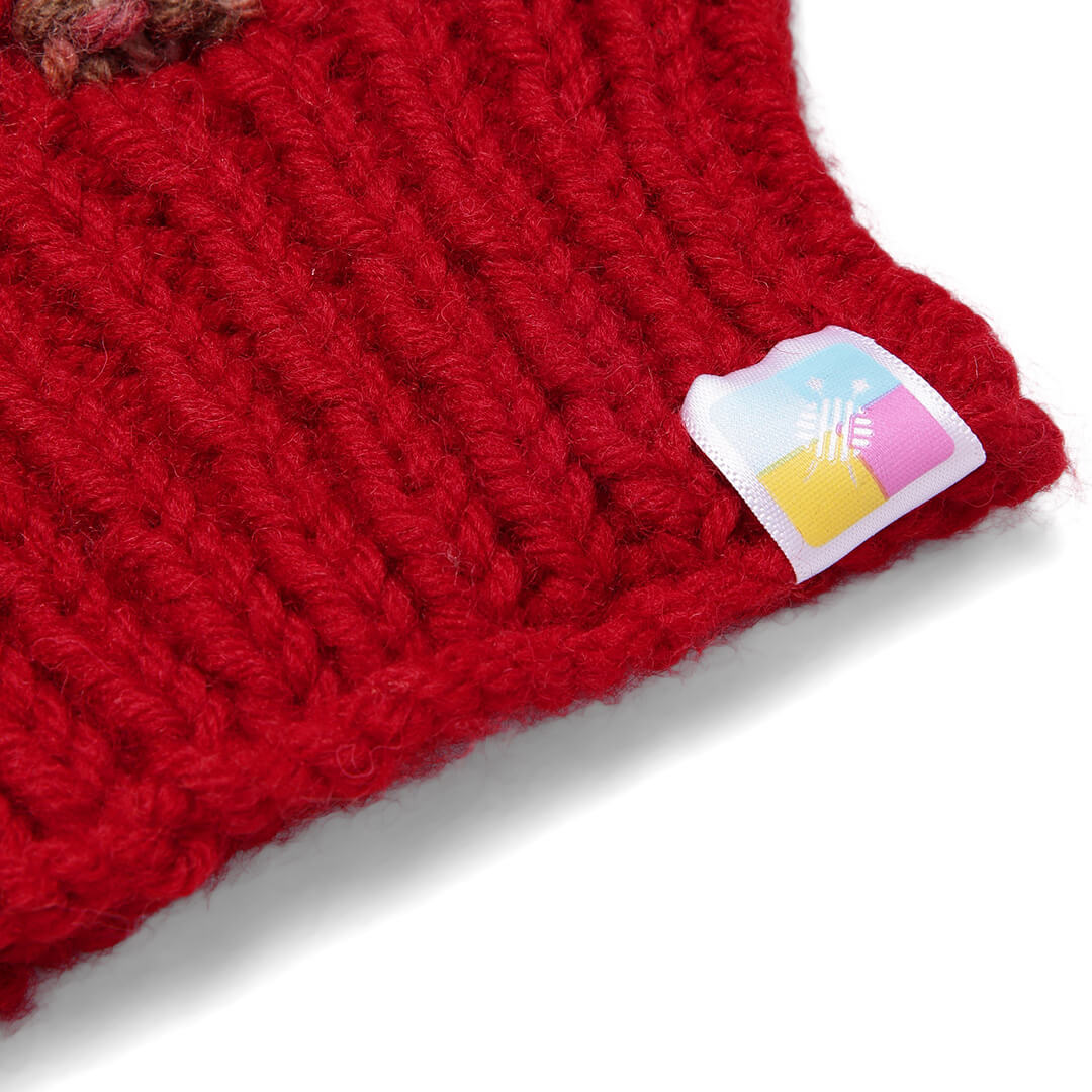 Hand Knitted Woolen Self-Design Beanie - Red 10641