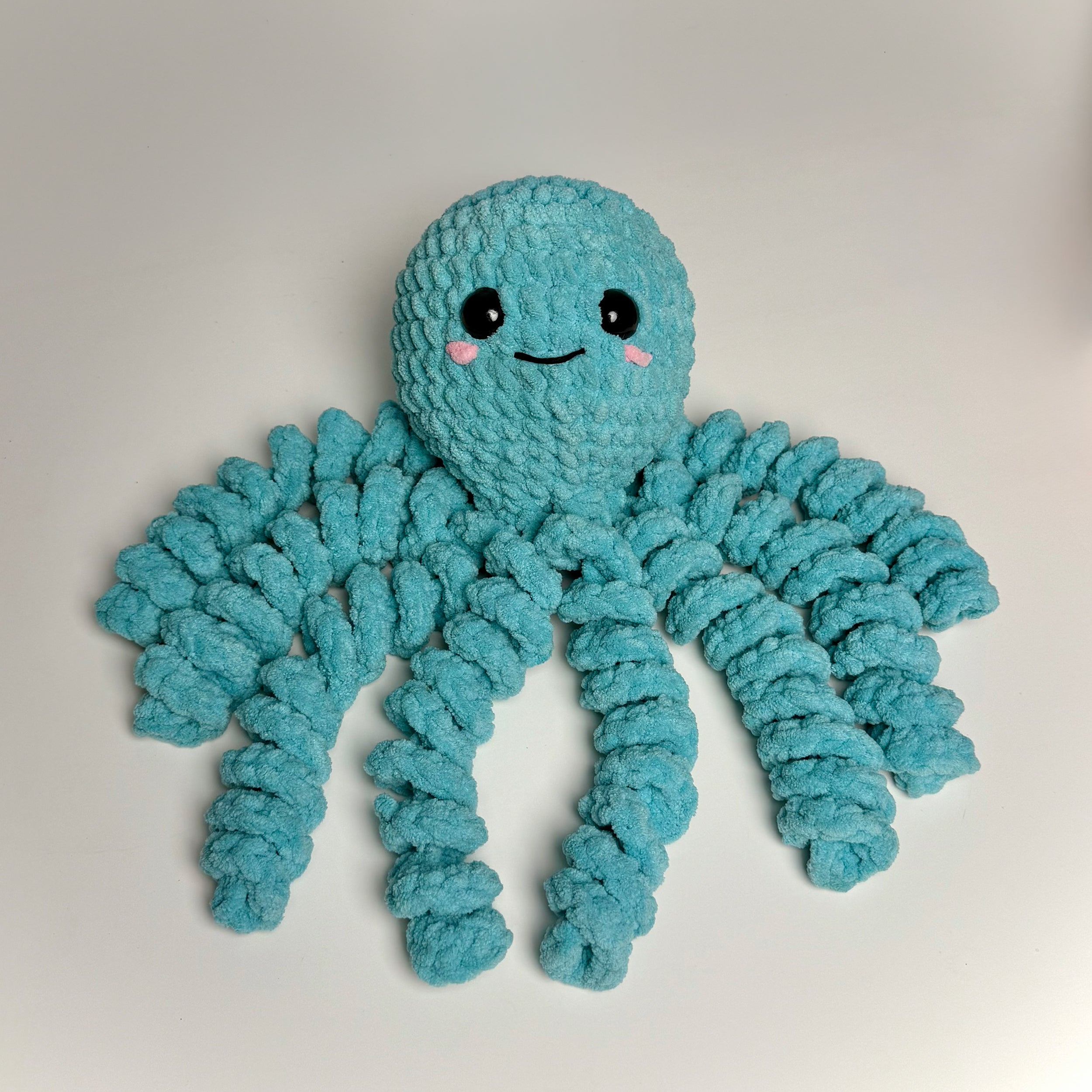 20 Jun | Chunky Octopus Crochet Workshop by Kunal (Offline, Mumbai)