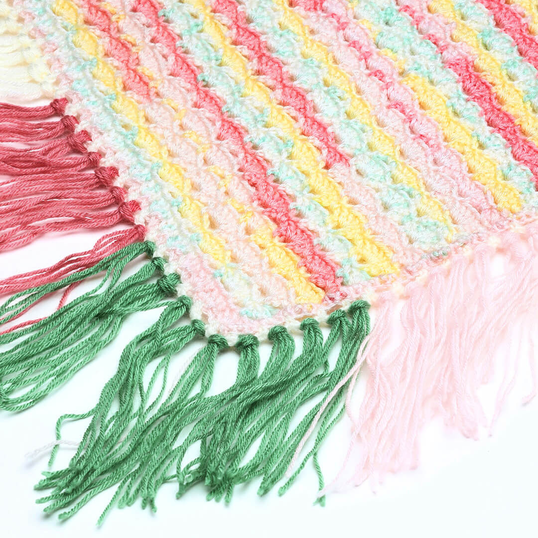 Collared Shawl with border - Multicolor 3228