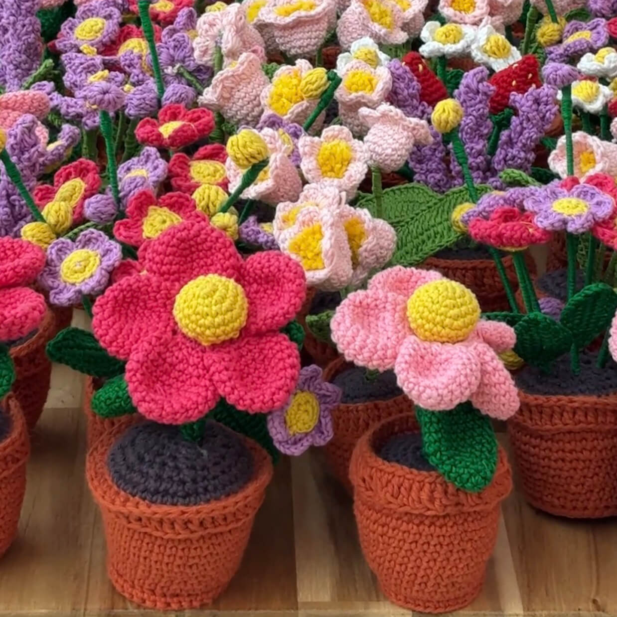 Flowers in a Pot - Assorted - Handcrafted Crochet Flowers