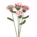 Charming Carnations - Handcrafted Crochet Flowers