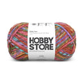 Bulky Yarn by Hobby Store - Multi-Color 6508