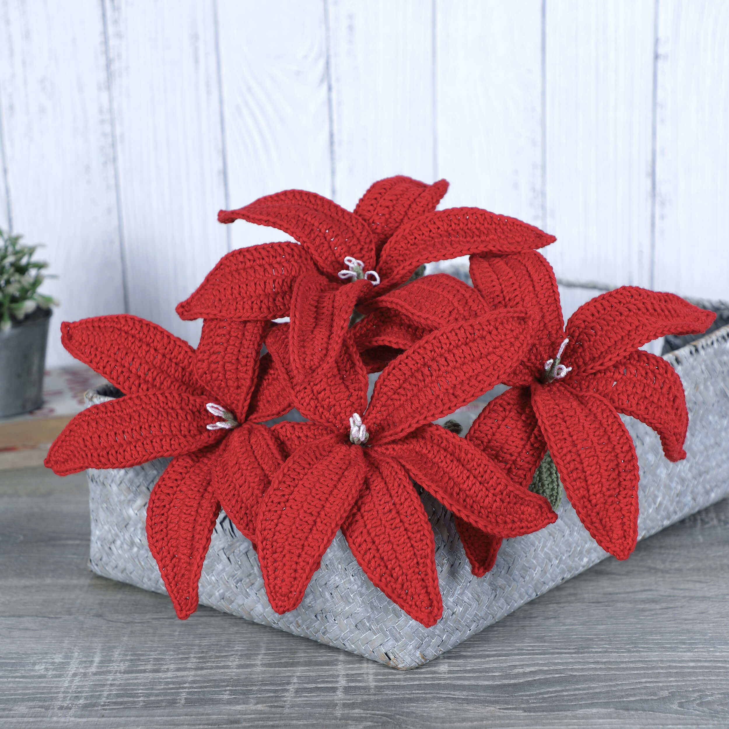 Lilies - Handcrafted Crochet Flowers