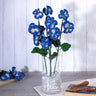 Baby Blue/Royal Blue