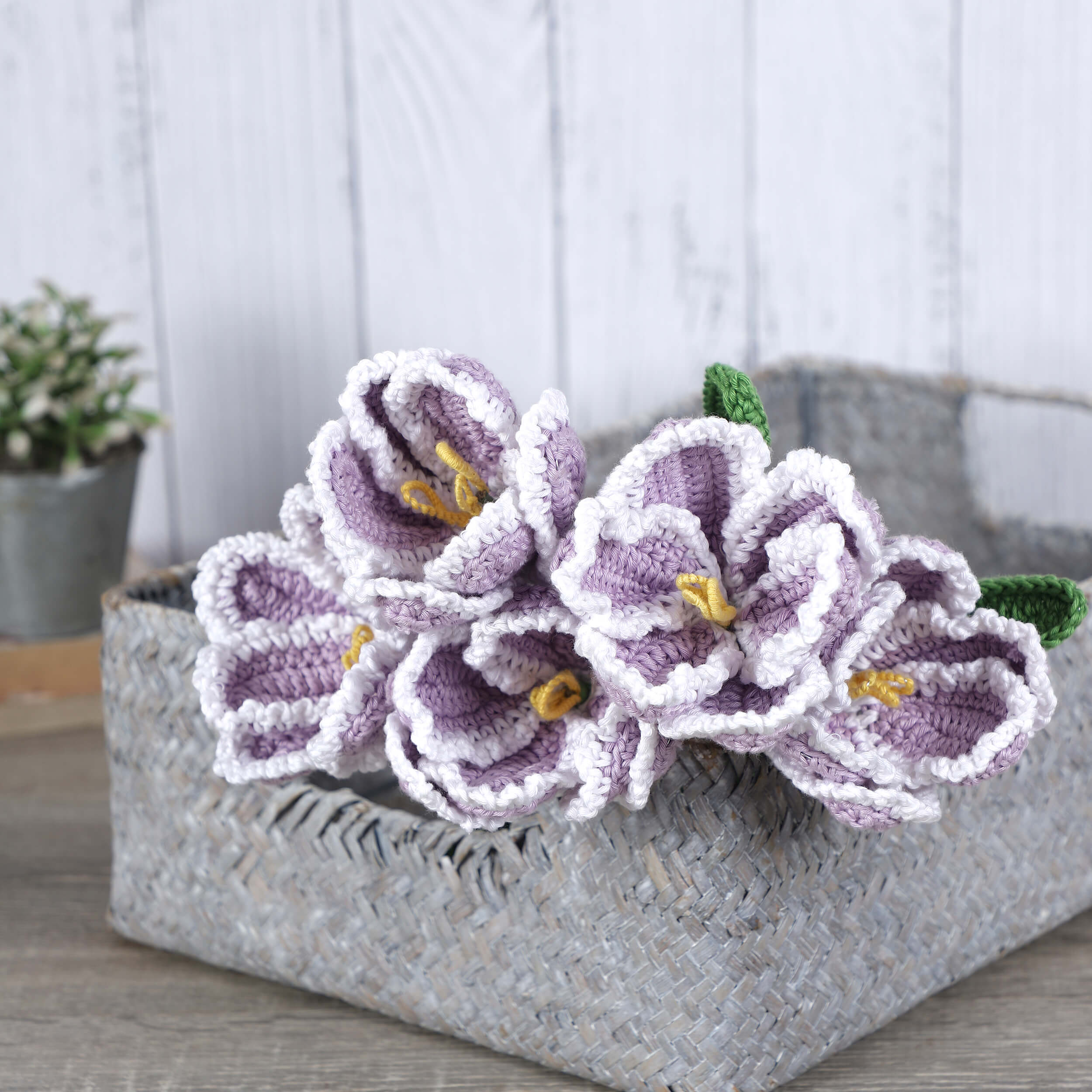 Parrot Tulips - Handcrafted Crochet Flowers