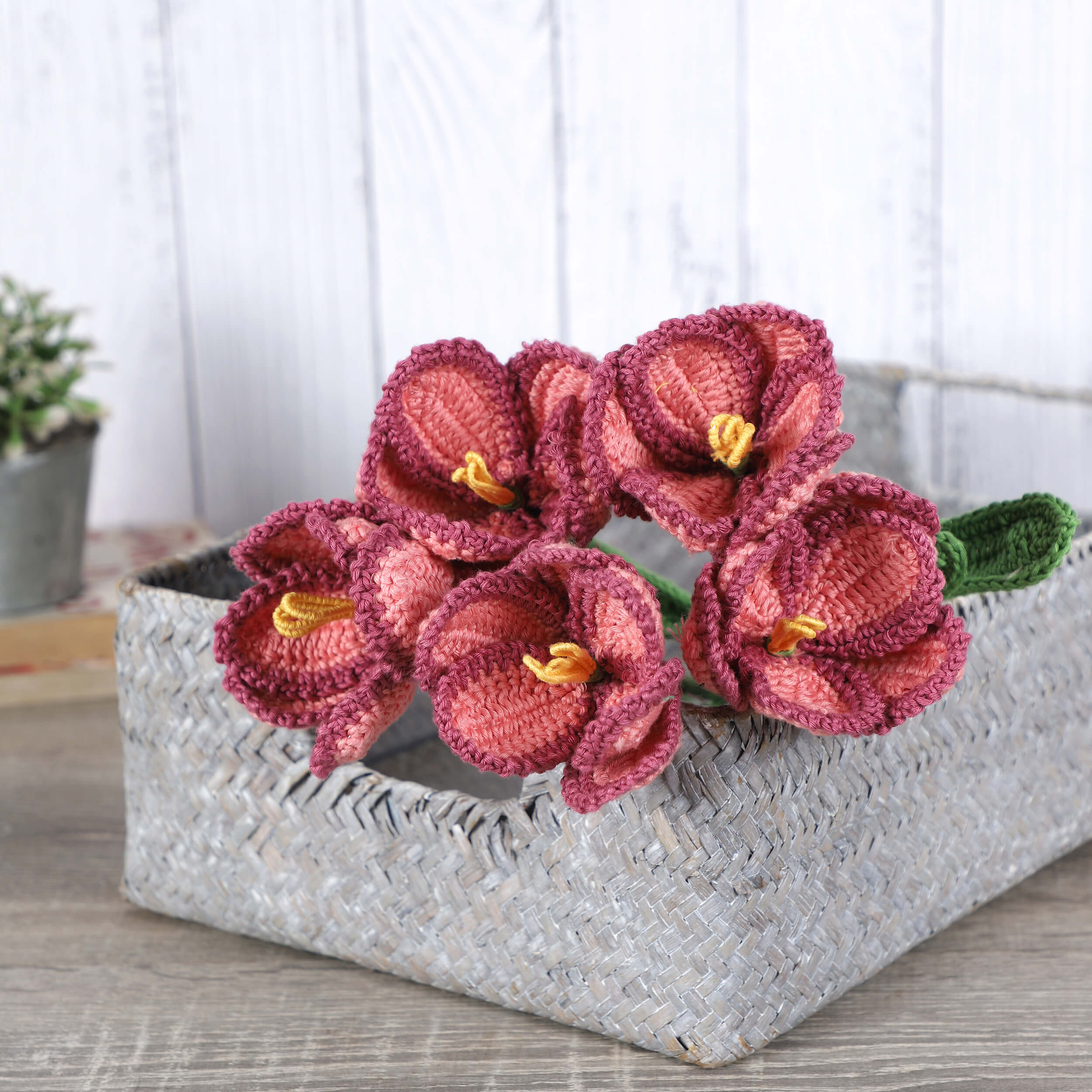 Parrot Tulips - Handcrafted Crochet Flowers