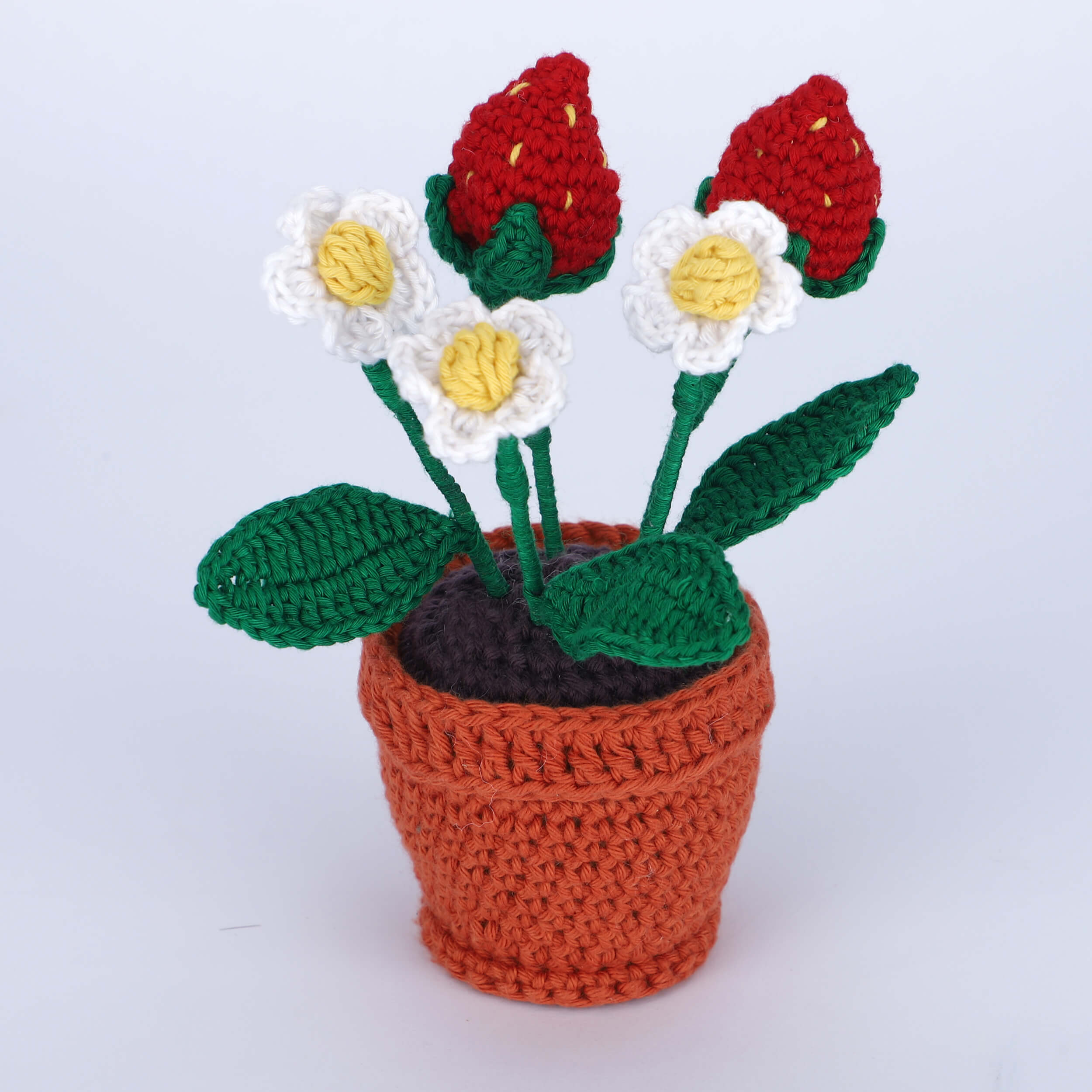 Flowers in a Pot - Assorted - Handcrafted Crochet Flowers