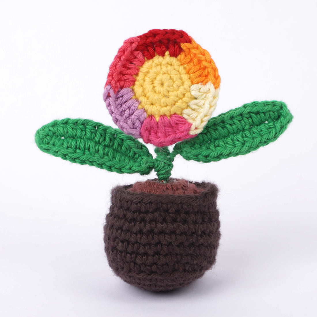 Handmade Crochet Fridge Magnets - Single Flower Multi