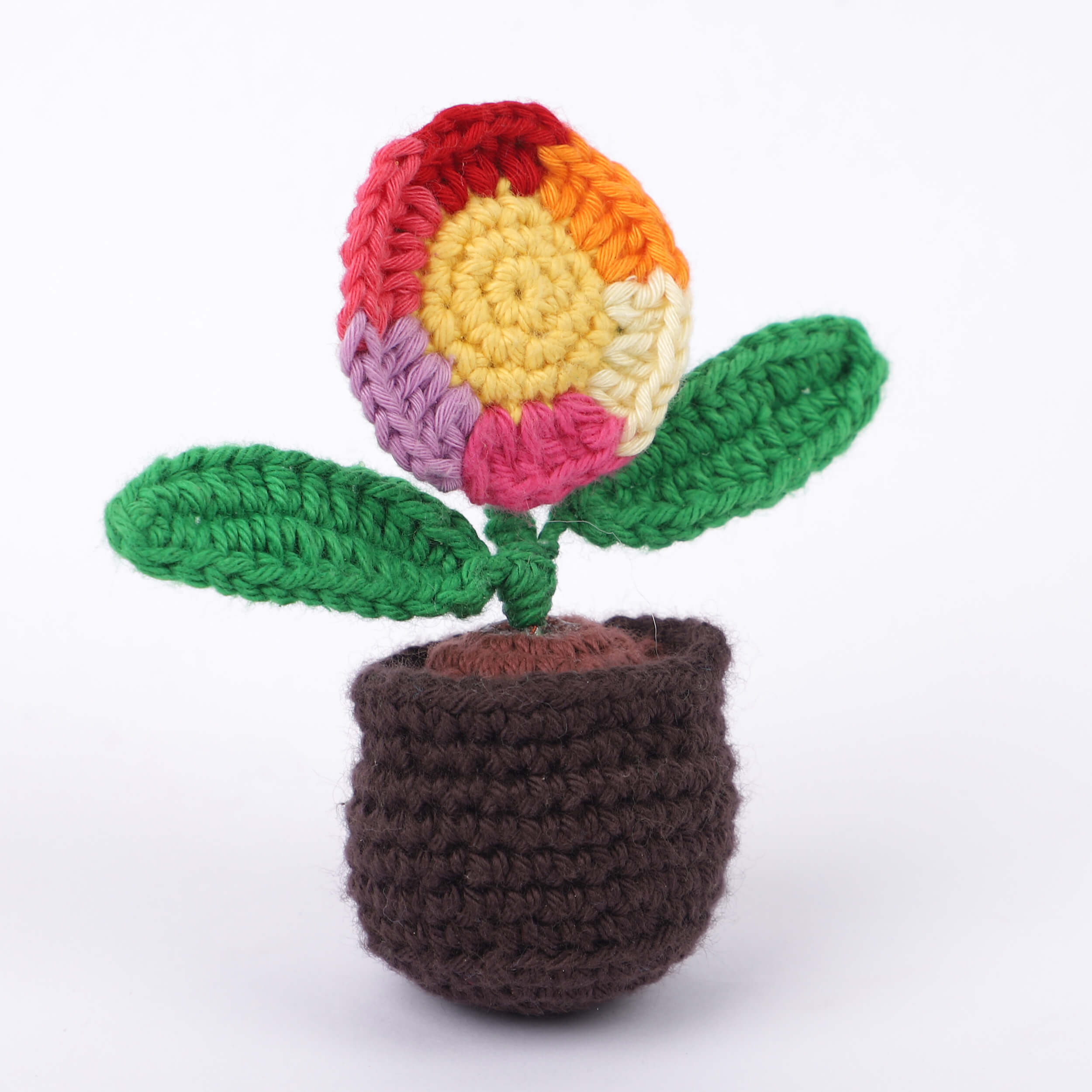 Handmade Crochet Fridge Magnets - Single Flower Multi