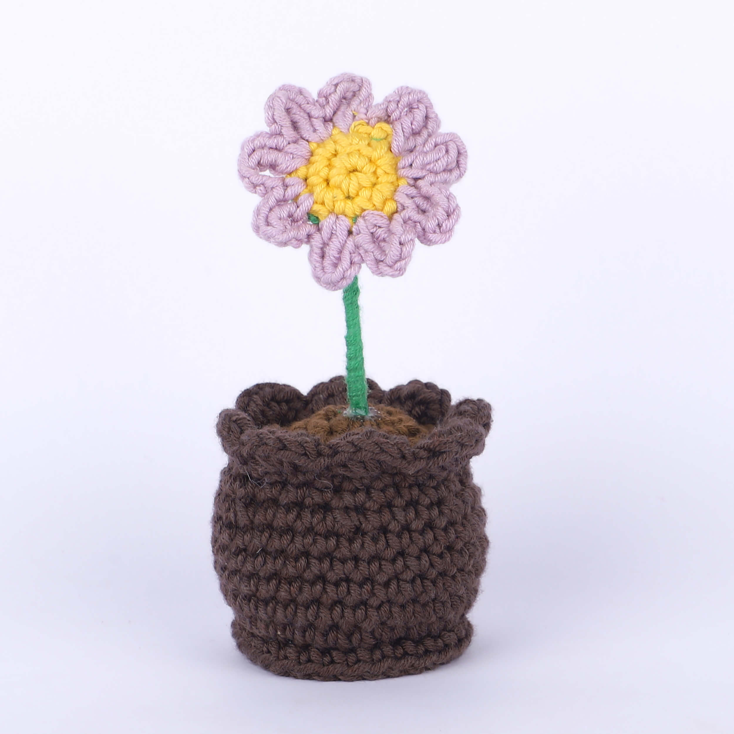 Daisy in a Pot - Handcrafted Crochet Flowers