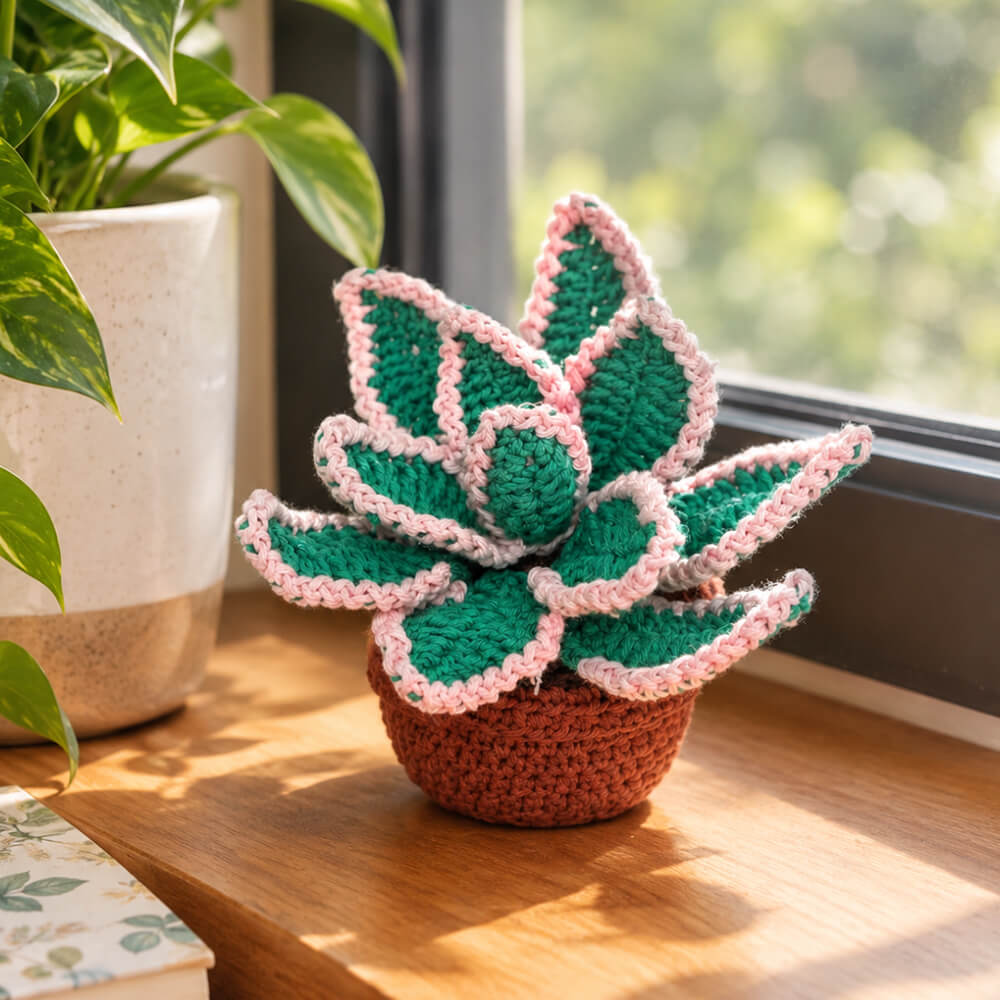 6 & 7 Nov | Succulent with Pot Crochet Workshop - Magic Makers (Offline, Mumbai)