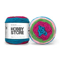 Hobby Store DK Anti-Pill Cake Yarn - Tones 4018