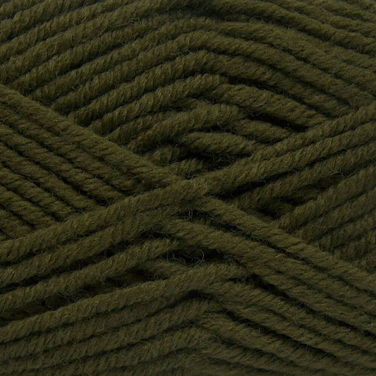 Ice Wool Chunky Yarn - Green 65716